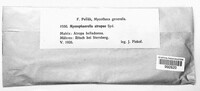 Image Associated With the Occurence